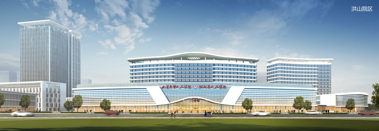 武汉大学人民医院.jpg